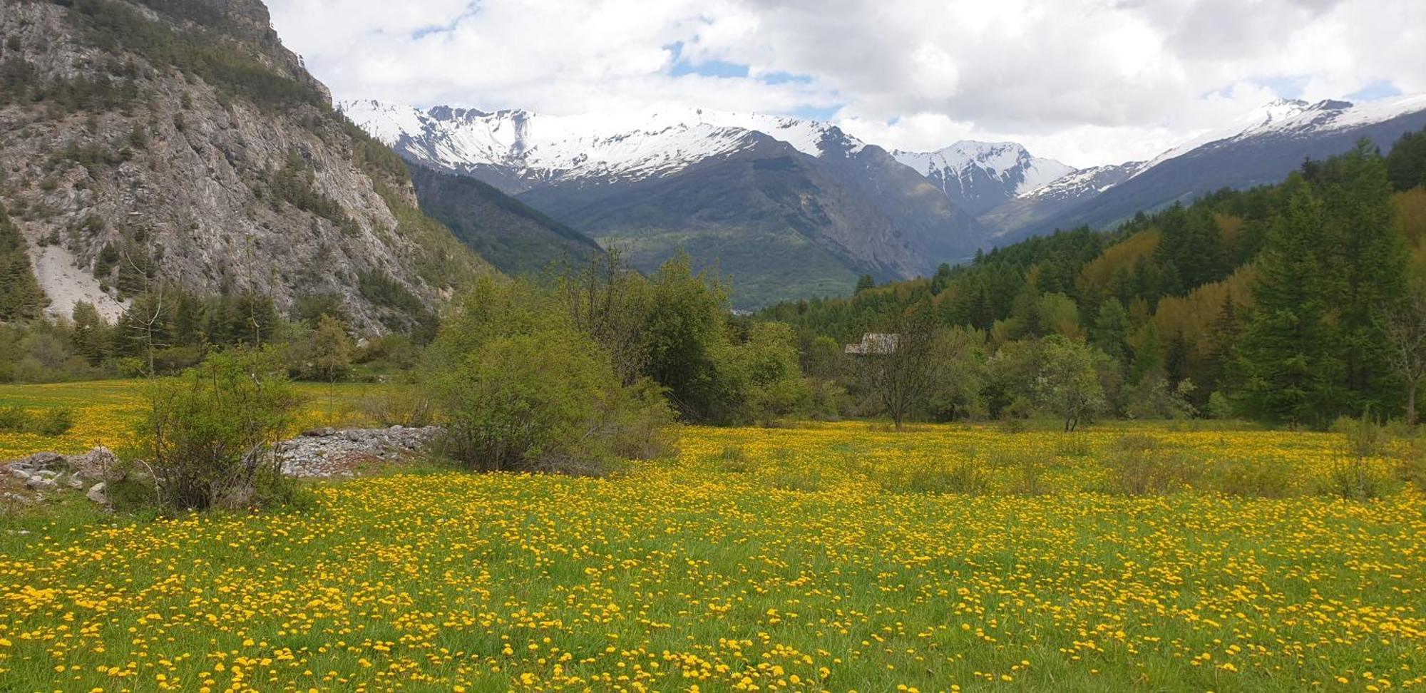 Apartament Casa Agnes Bardonecchia Zewnętrze zdjęcie